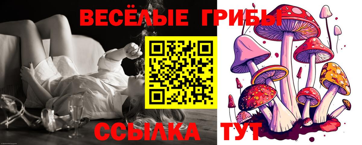 Псилоцибиновые грибы мицелий Алексеевка