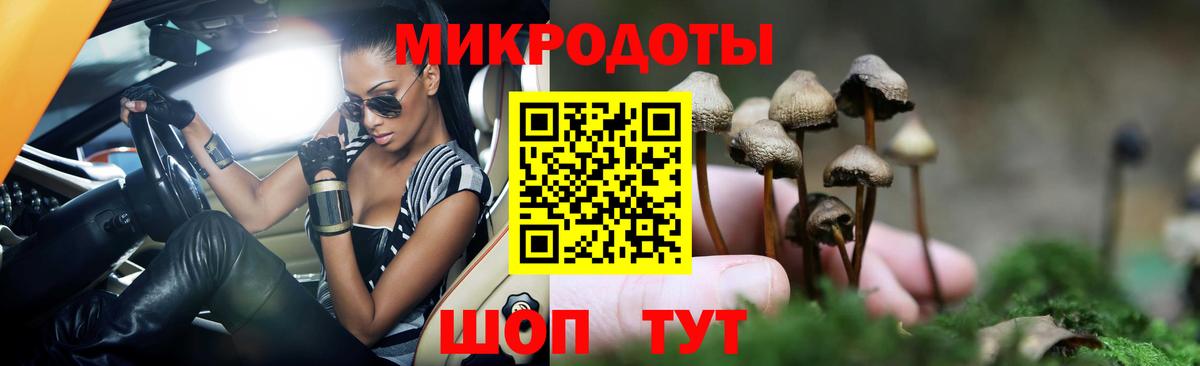 Псилоцибиновые грибы мицелий  Псилоцибиновые грибы GOLDEN TEACHER  Вход с VPN  Алексеевка 